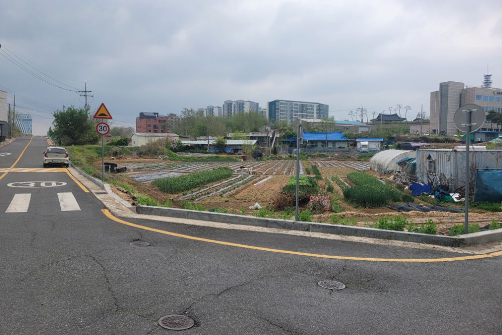 번암리86 5외4필지