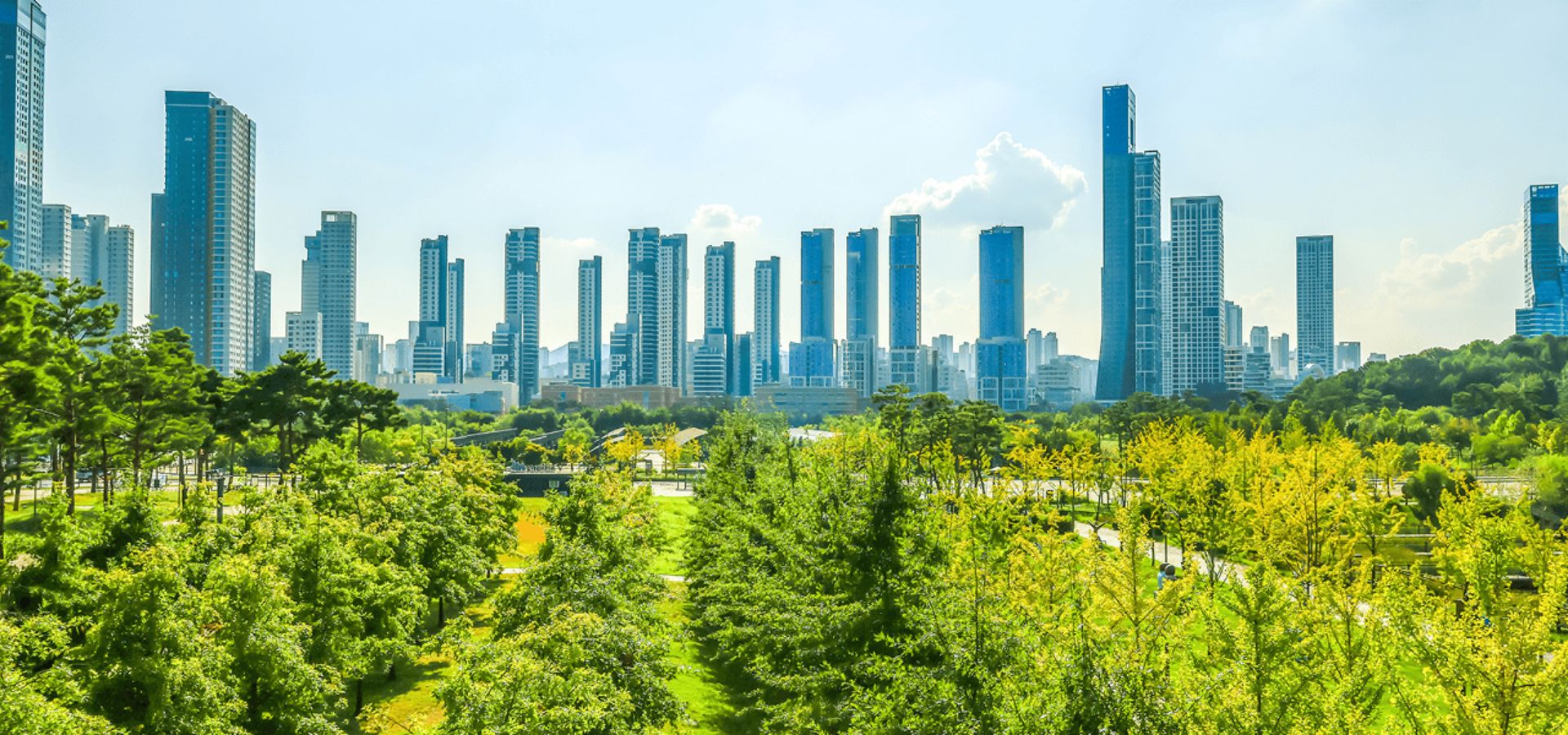 세종시중앙공원