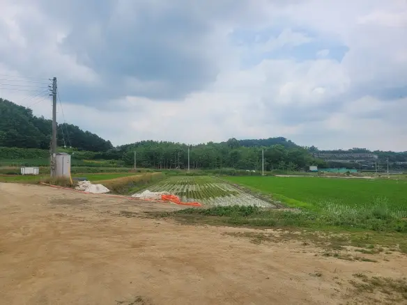 수산리 농림지역