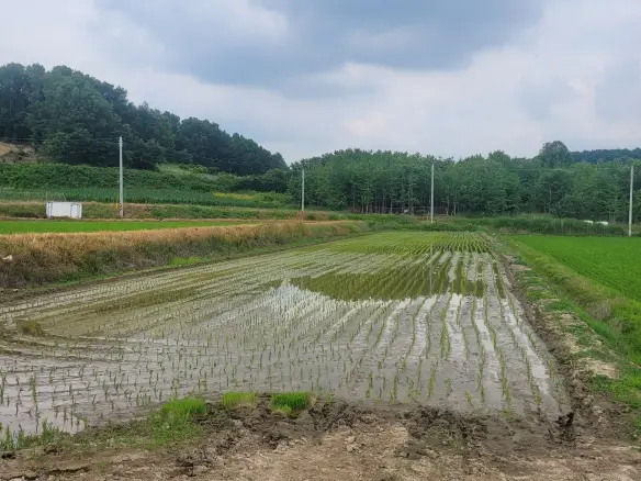 수산리 농림지역