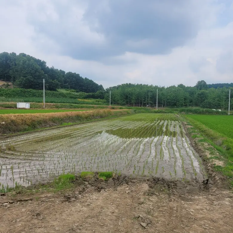 수산리 농림지역