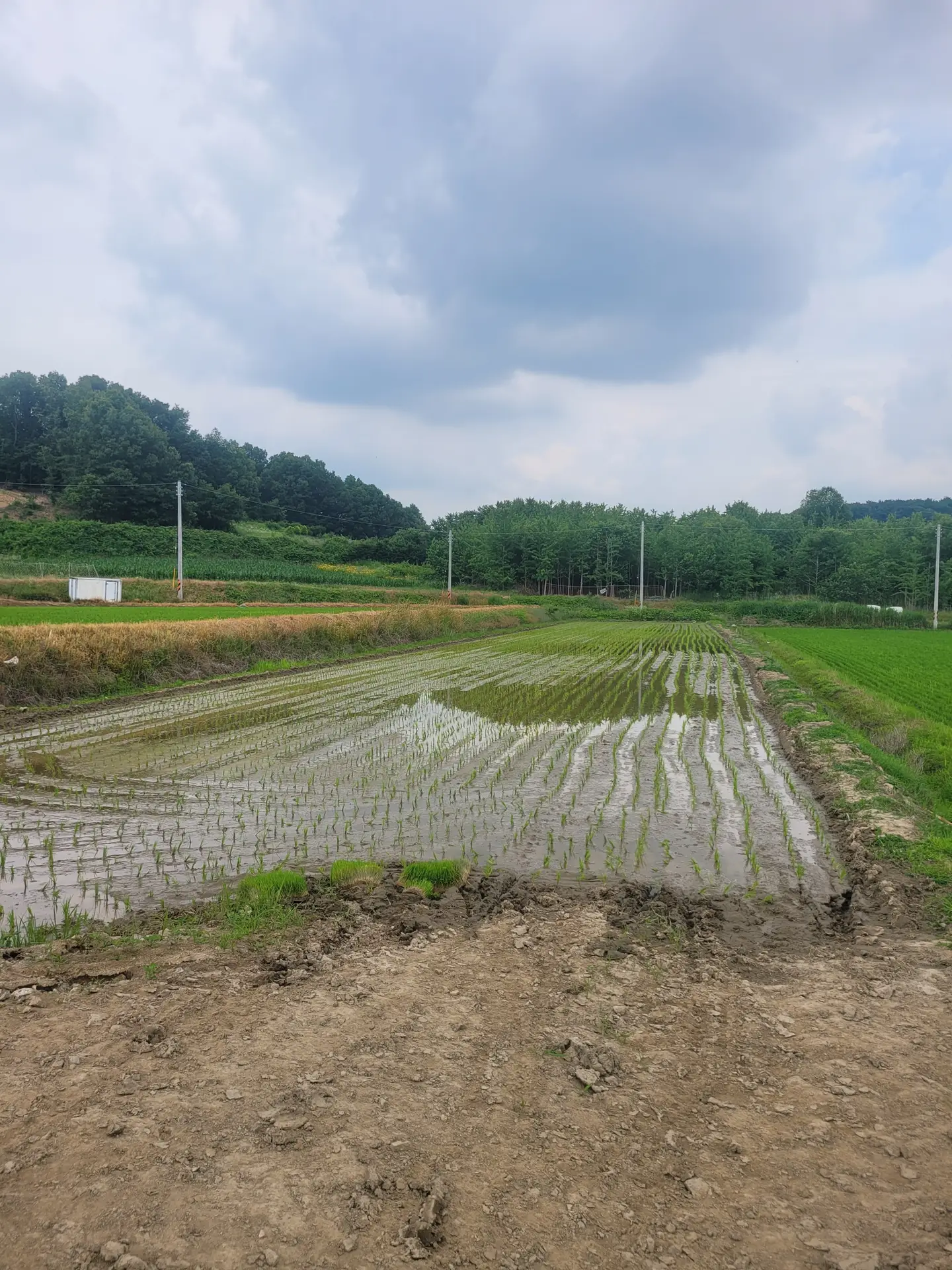 수산리 농림지역