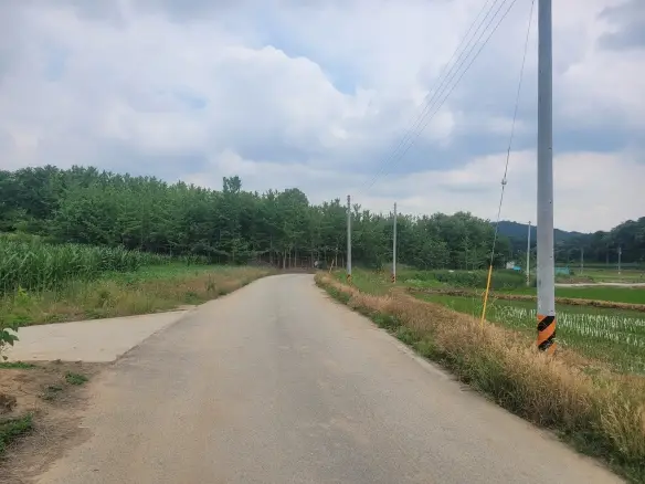 수산리 농림지역