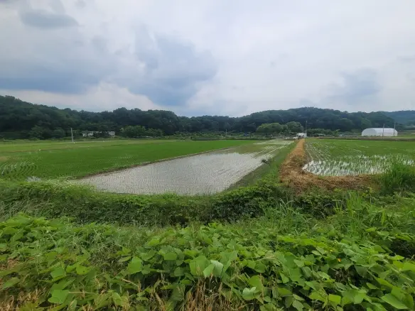 수산리 농림지역