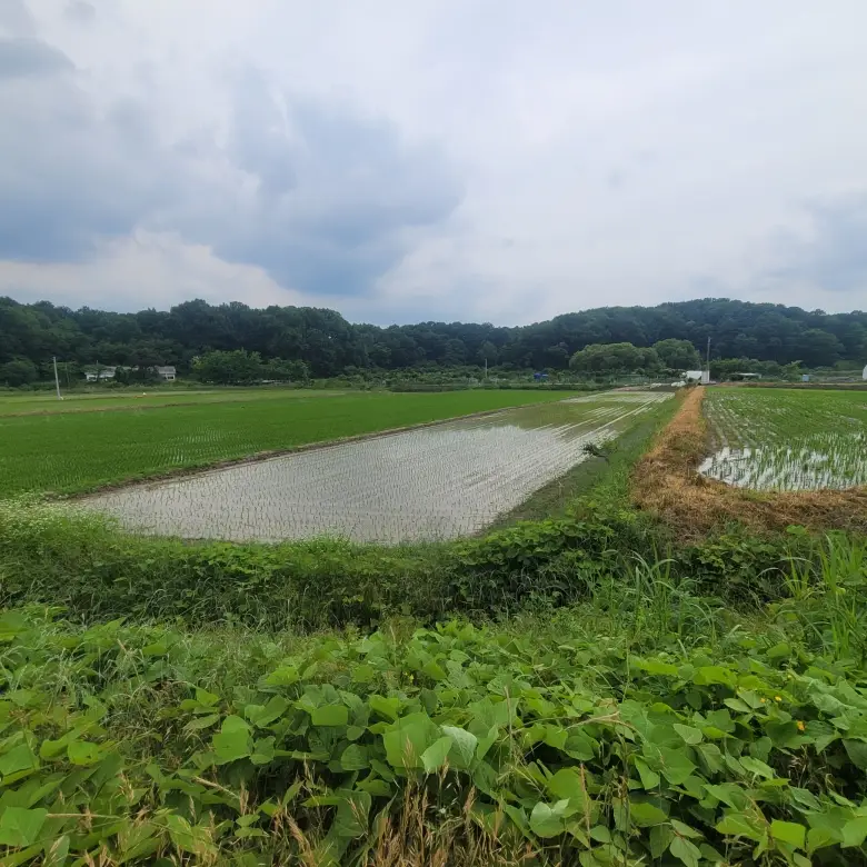 수산리 농림지역