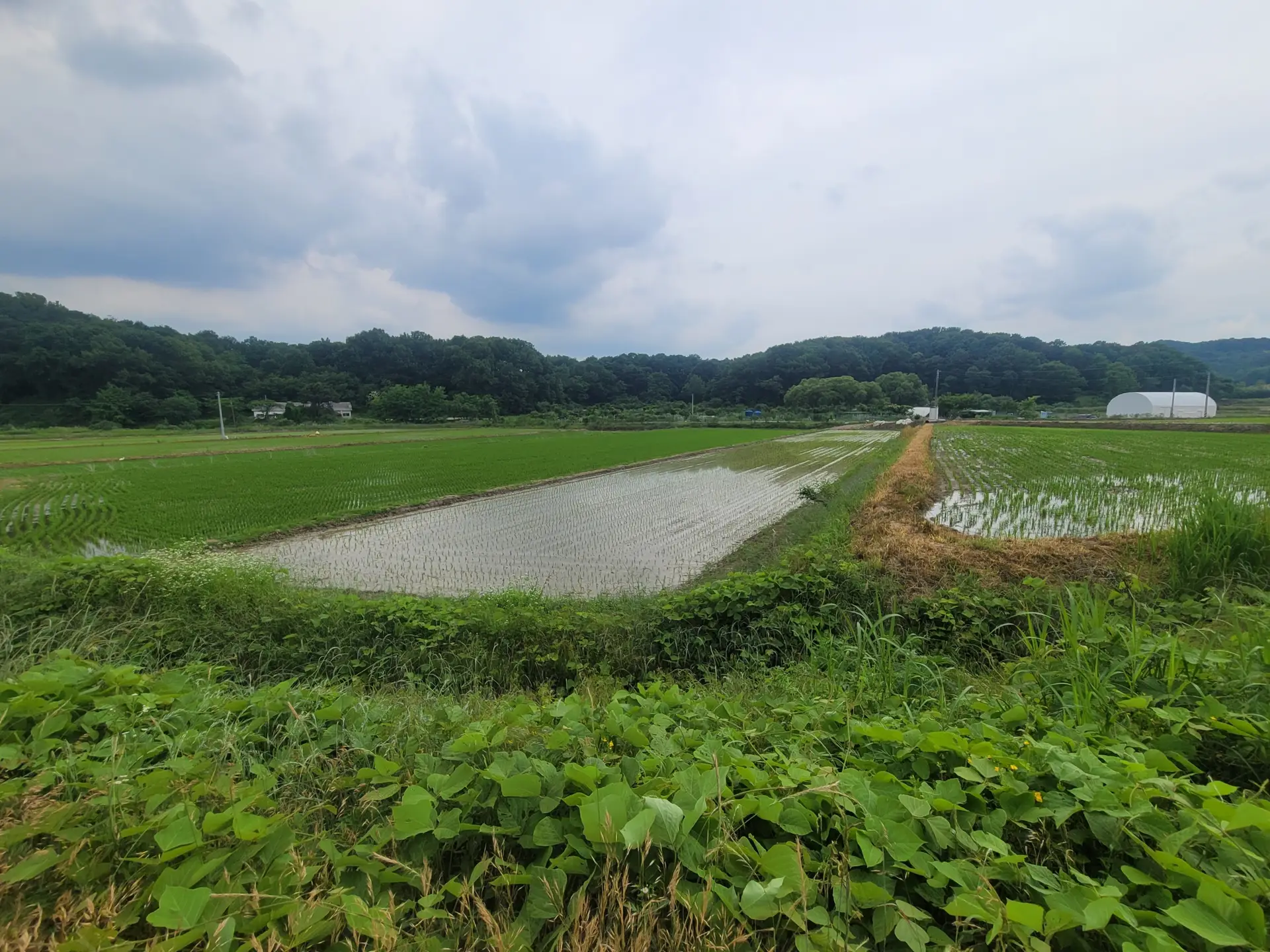수산리 농림지역