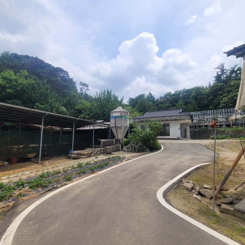 세종시 특급 토지 매매