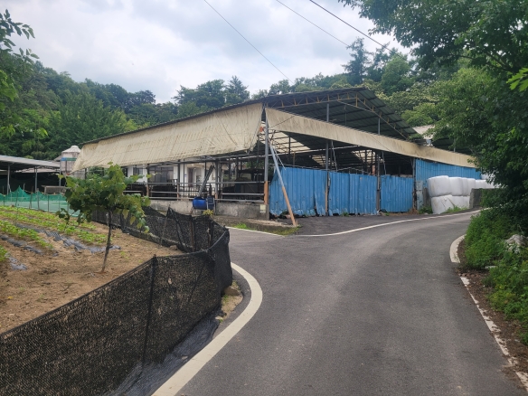 세종시 특급 토지 매매