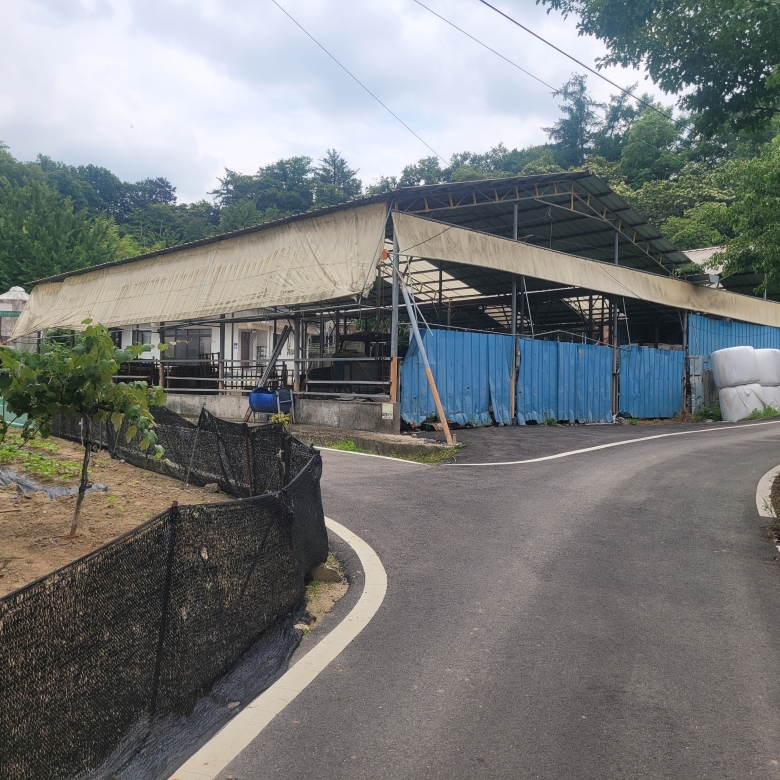 세종시 특급 토지 매매