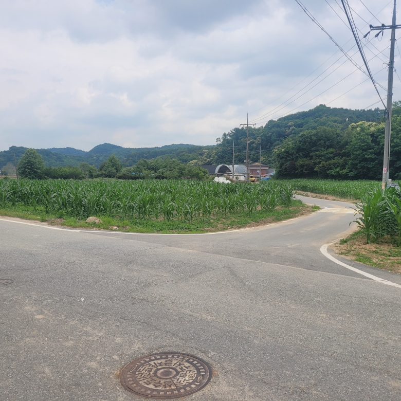 세종시 특급 토지 매매