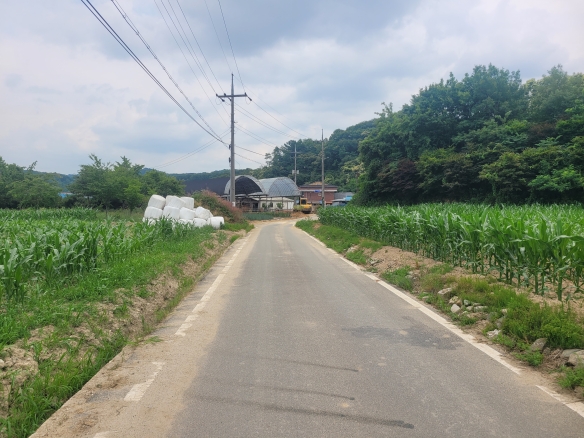 세종시 특급 토지 매매