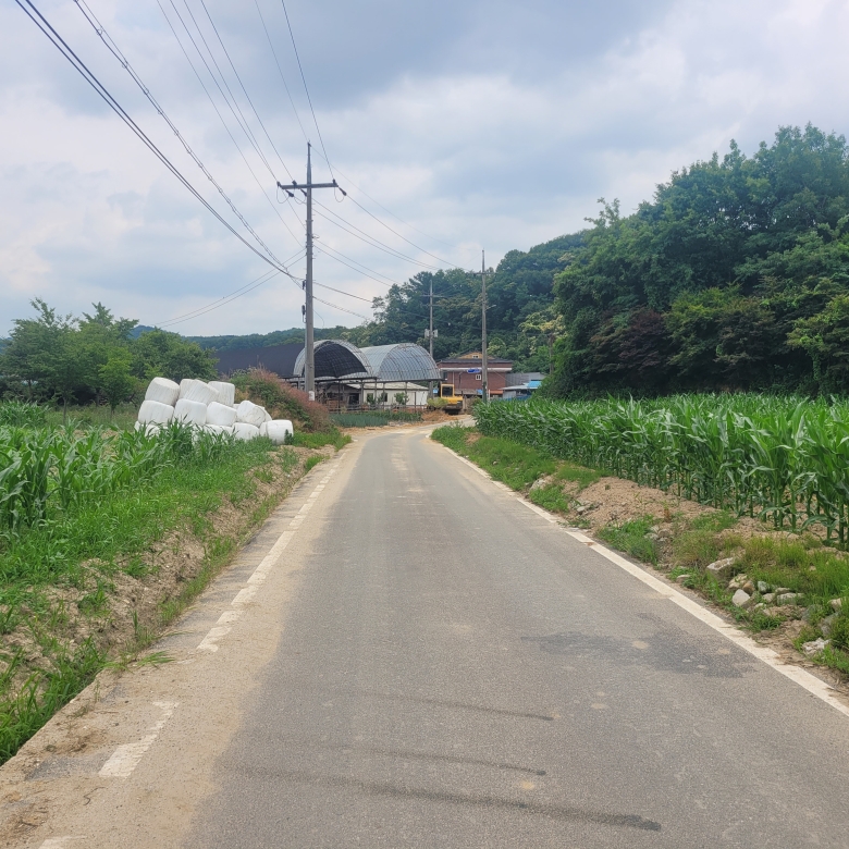 세종시 특급 토지 매매