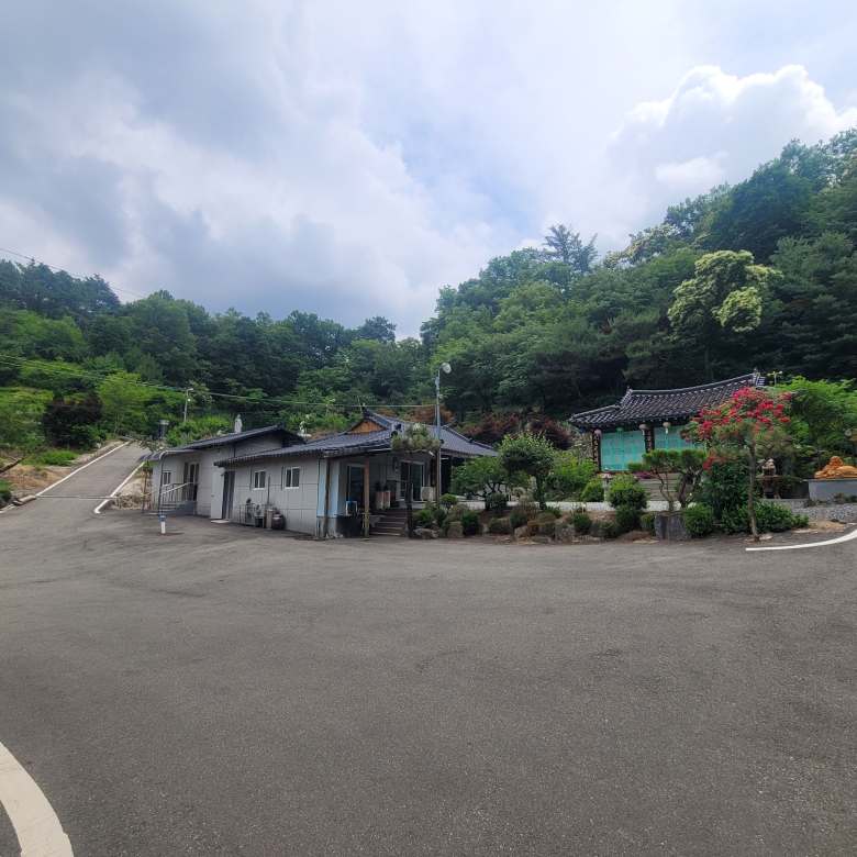 세종시 특급 토지 매매
