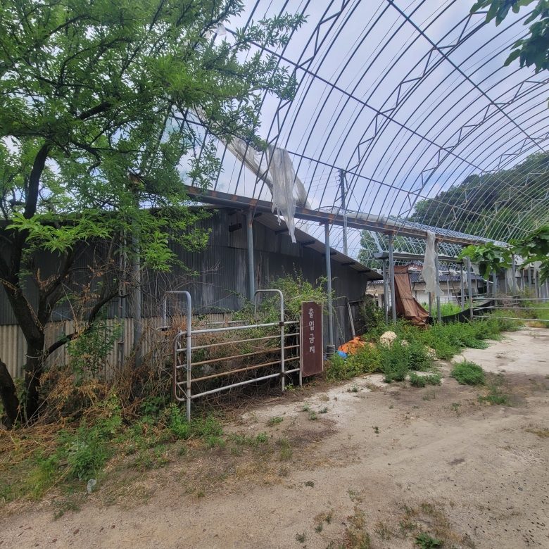 세종시 특급 토지 매매