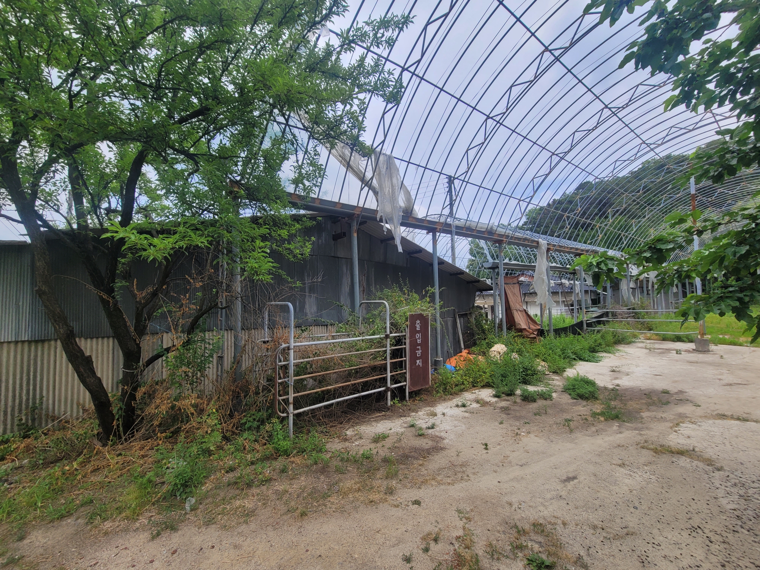 세종시 특급 토지 매매
