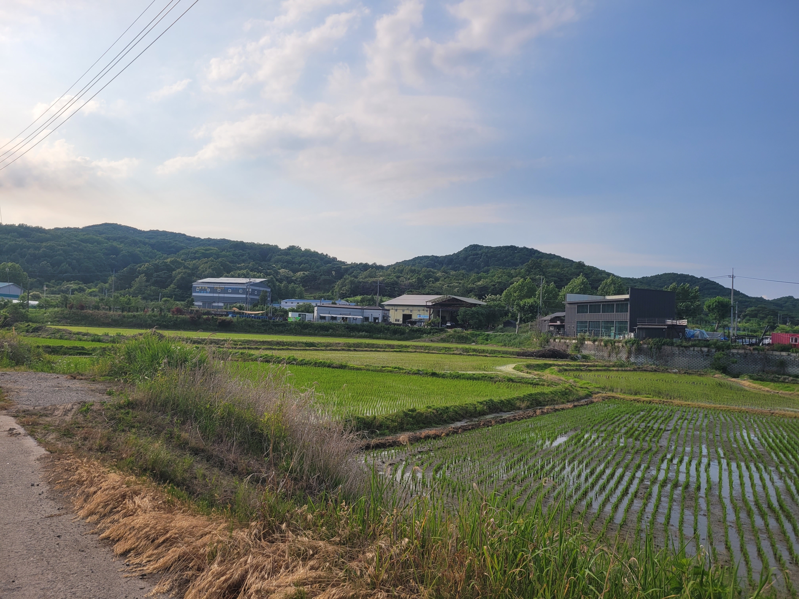 와촌리 논 (생산, 보전, 농림)