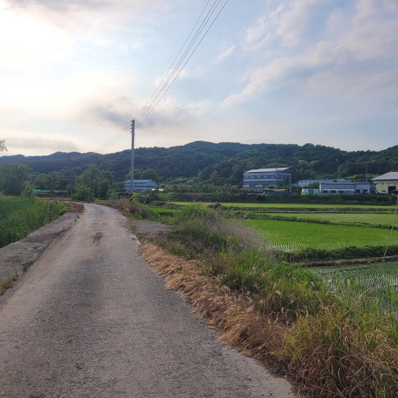 와촌리 논 (생산, 보전, 농림)