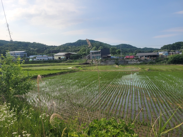 와촌리 큰 땅 (생산, 보전, 농림)