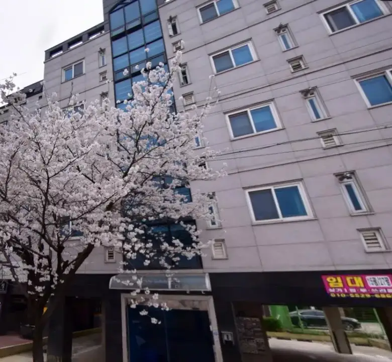 조치원 침산리 투룸