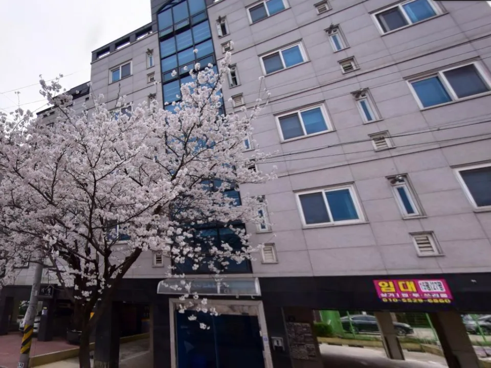 조치원 침산리 투룸