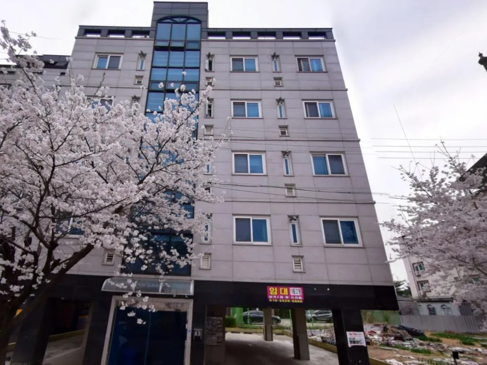 침산리 251-6_3 조치원 침산리 투룸