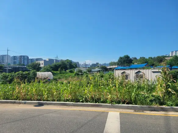 조치원 번암리 토지