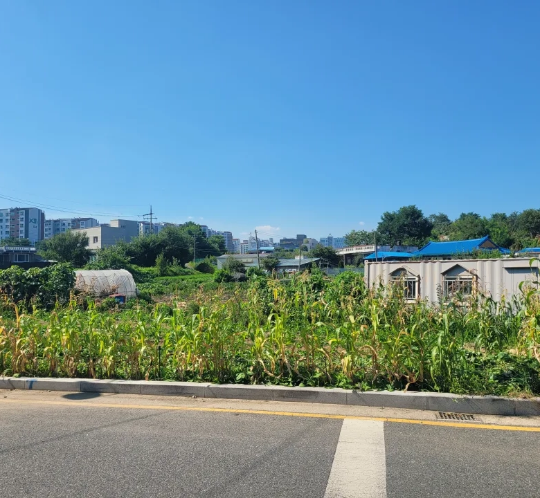 조치원 번암리 주공아파트 인근 토지