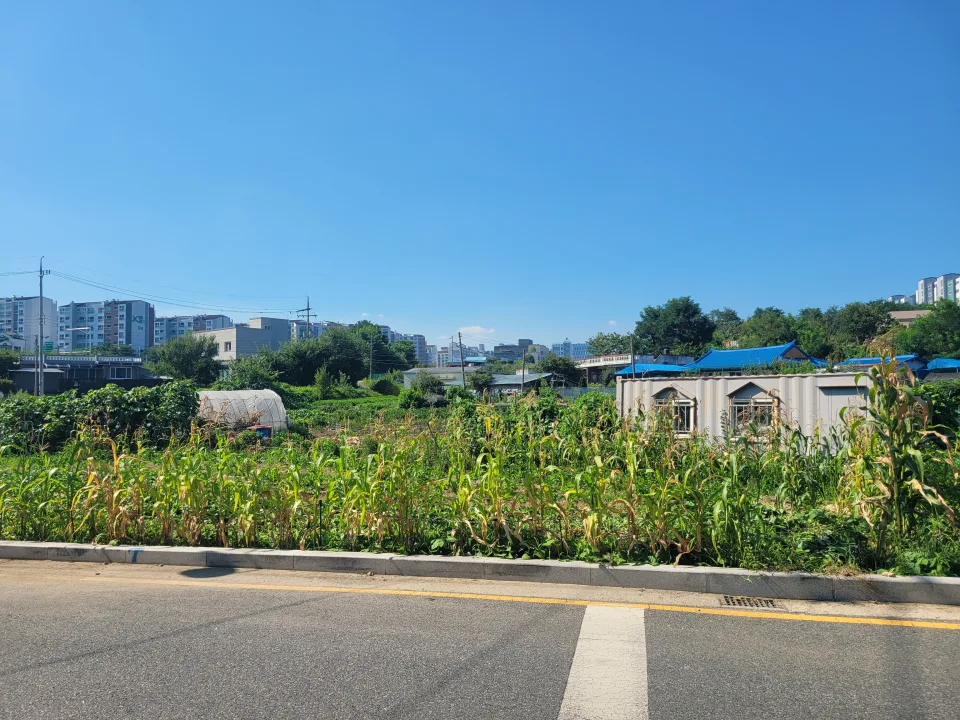 조치원 번암리 주공아파트 인근 토지