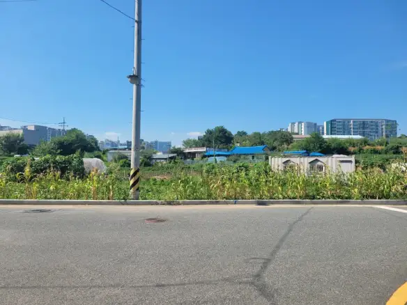 조치원 번암리 주공아파트 인근 토지