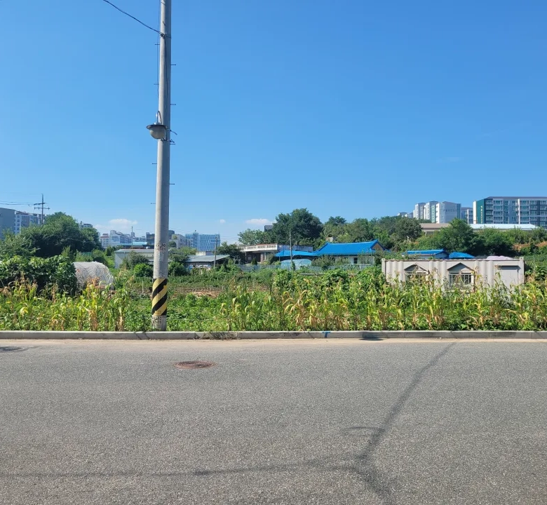 조치원 번암리 주공아파트 인근 토지