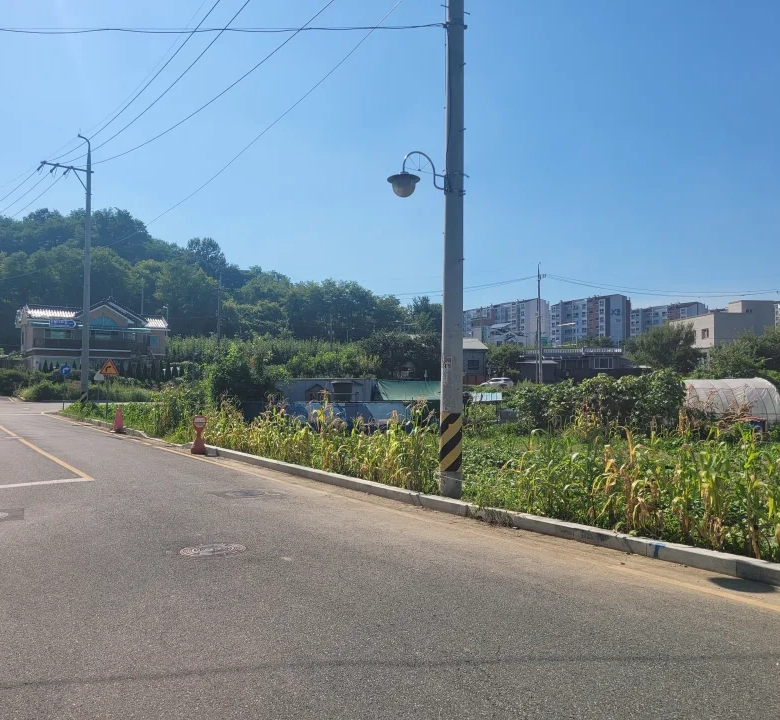 조치원 번암리 주공아파트 인근 토지