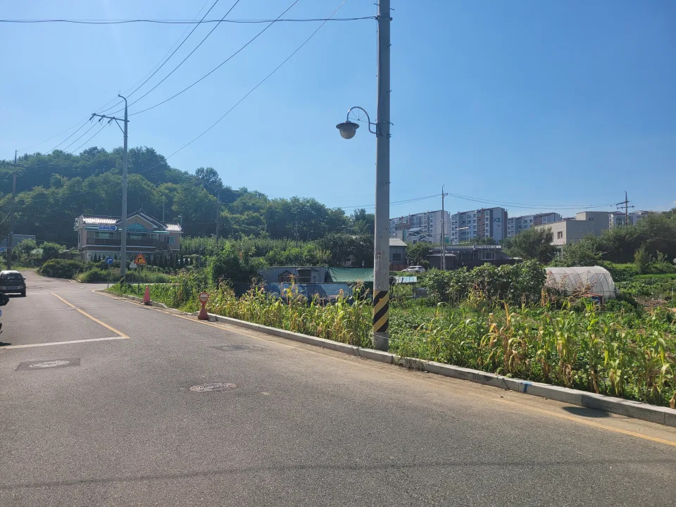 조치원 번암리 주공아파트 인근 토지