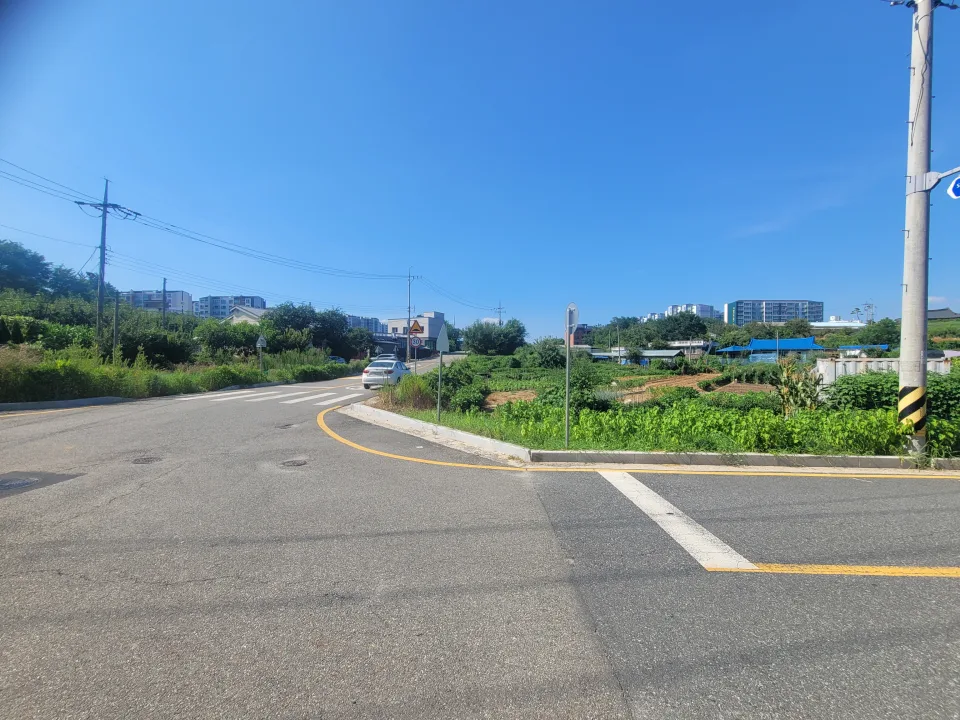 조치원 번암리 주공아파트 인근 토지