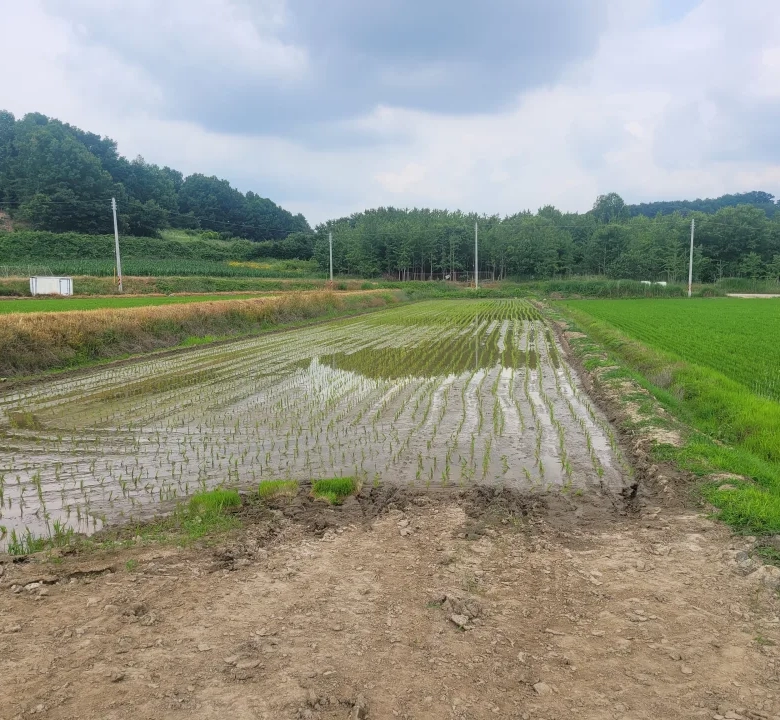 연기면 수산리 농림지역