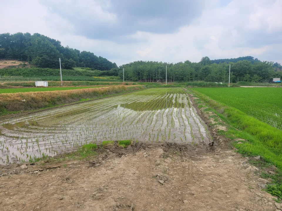 연기면 수산리 농림지역