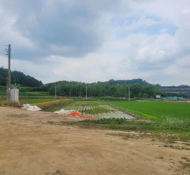 연기면 수산리 농림지역
