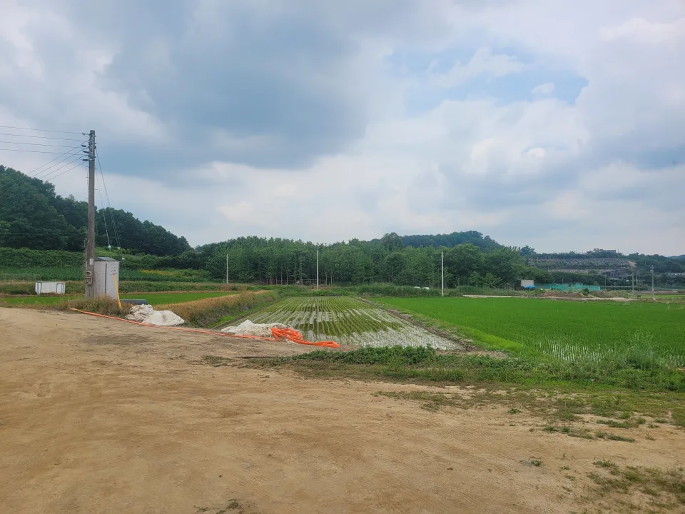연기면 수산리 농림지역