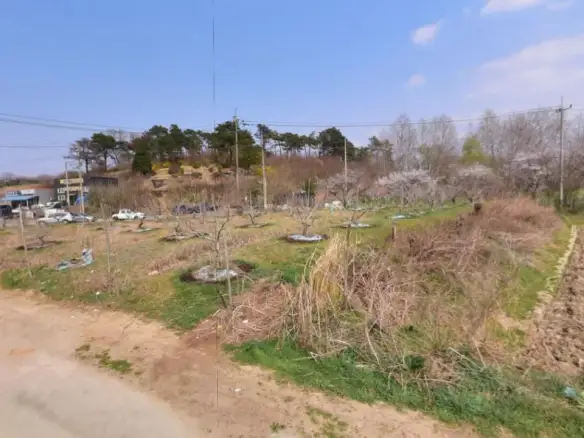 연서면 쌍전리 토지