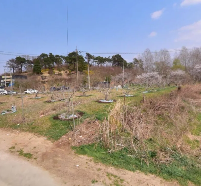 연서면 쌍전리 토지