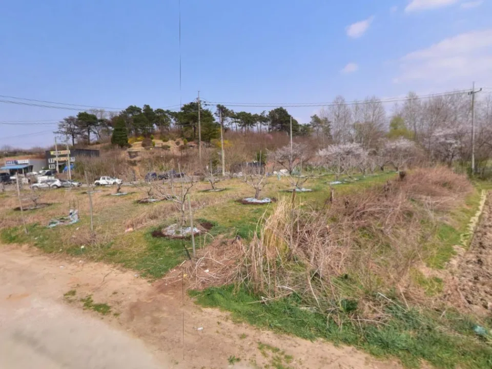 쌍전리 684_1 연서면 쌍전리 토지