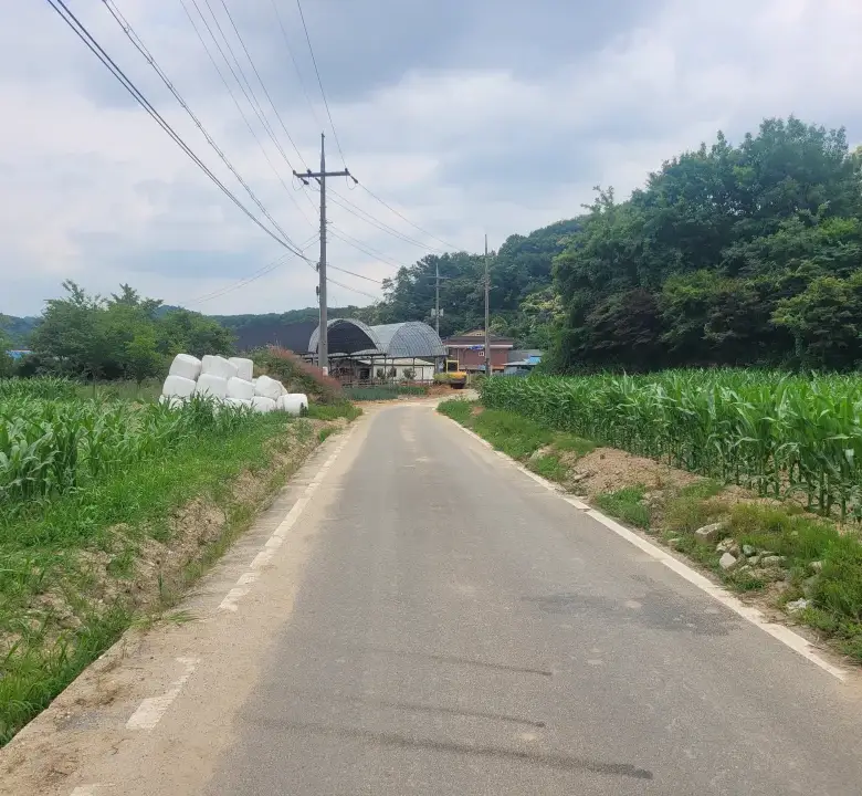 세종 연기면 눌왈리 계획관리
