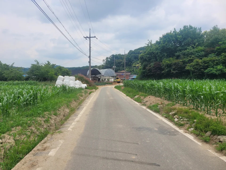 세종 연기면 눌왈리 계획관리