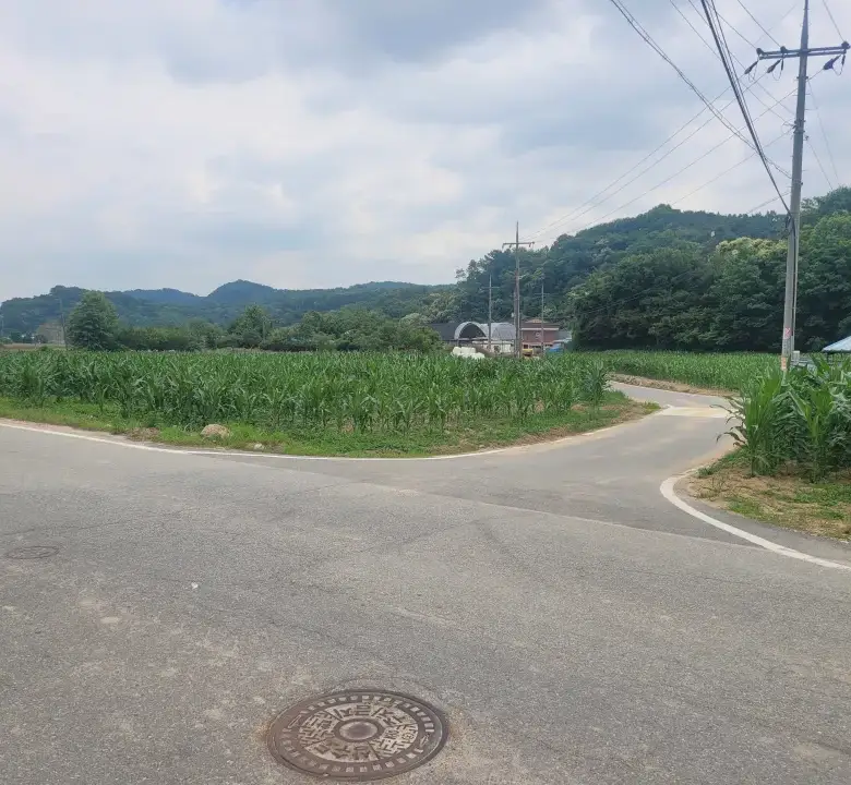 세종 연기면 눌왈리 계획관리