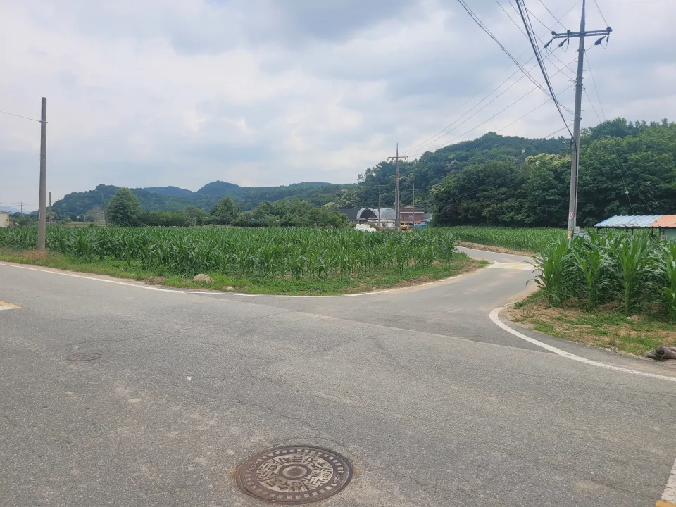 세종 연기면 눌왈리 계획관리