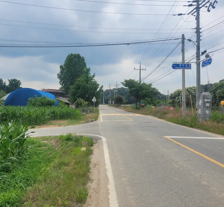 세종 연기면 눌왈리 계획관리