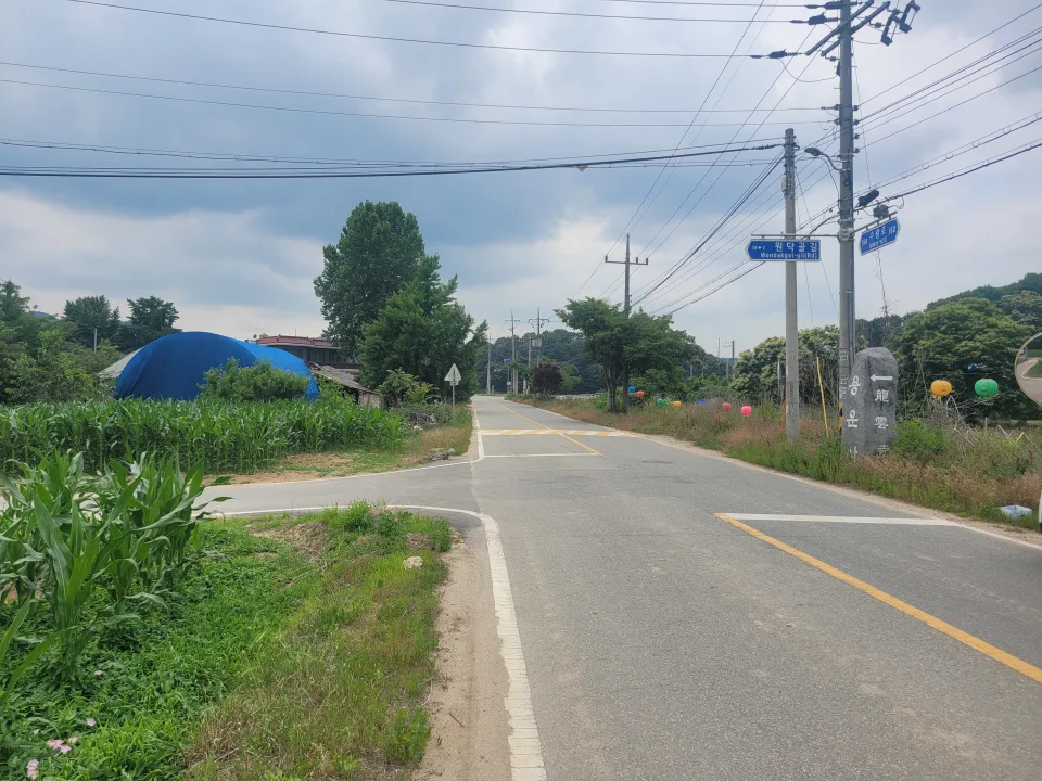 세종 연기면 눌왈리 계획관리