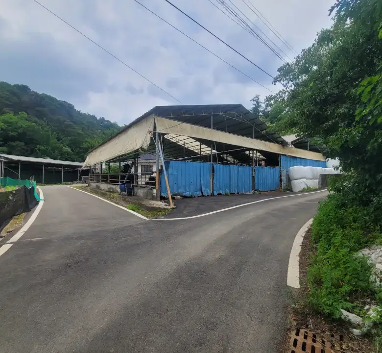세종 연기면 눌왈리 계획관리
