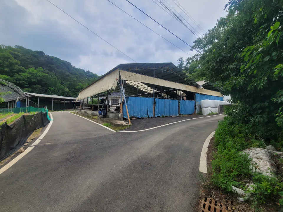 세종 연기면 눌왈리 계획관리