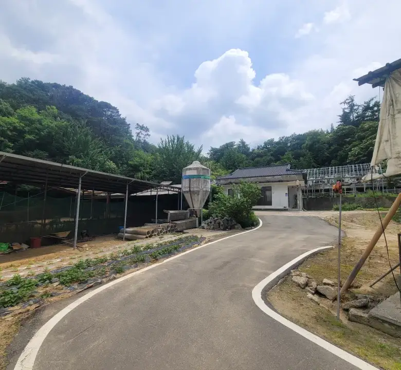 세종 연기면 눌왈리 계획관리