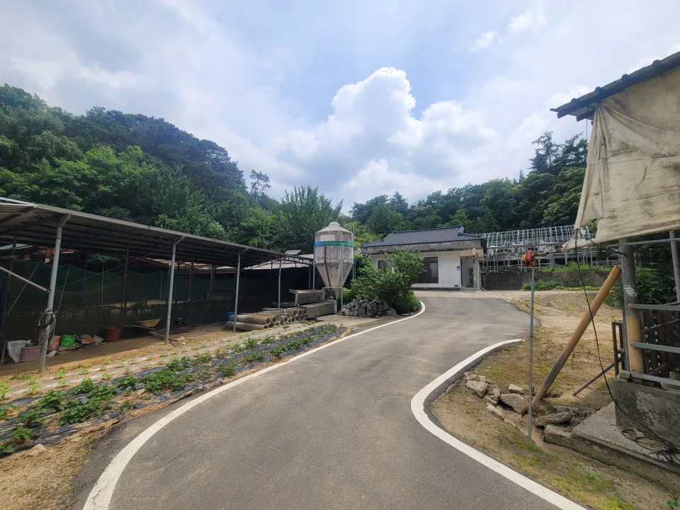 세종 연기면 눌왈리 계획관리